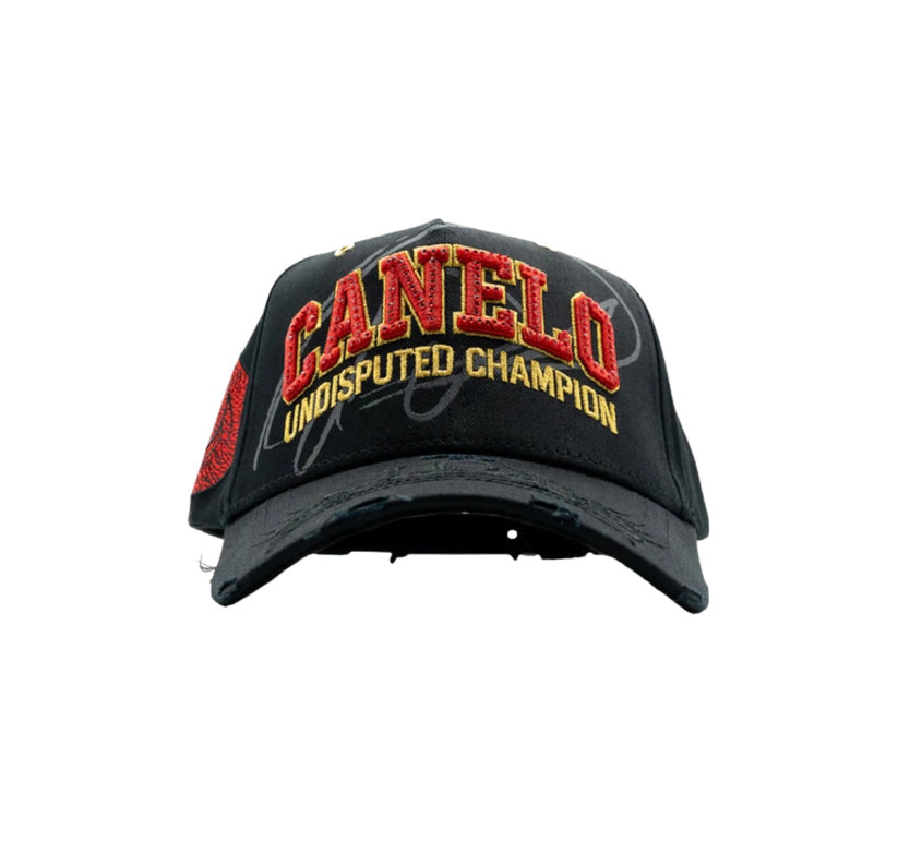 DANDY HATS WBC
