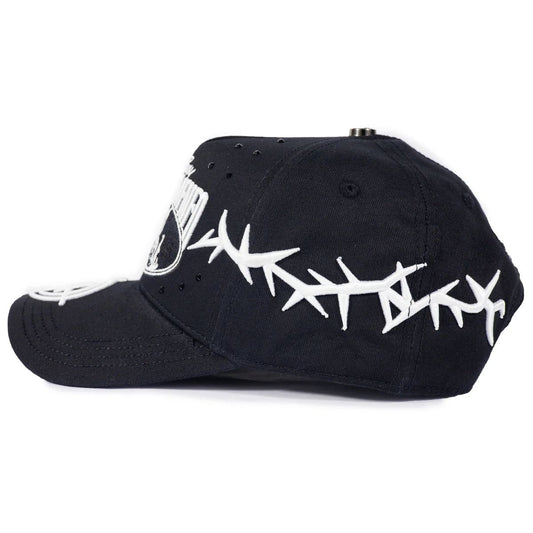 BAEZ X VICTOR MENDIVIL